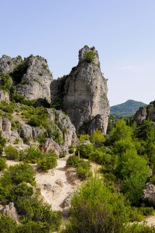 dolomites-erosion-of-moureze-in-herault-region-rock-stones-peaks-of-different-sizes-in-forest-south-french