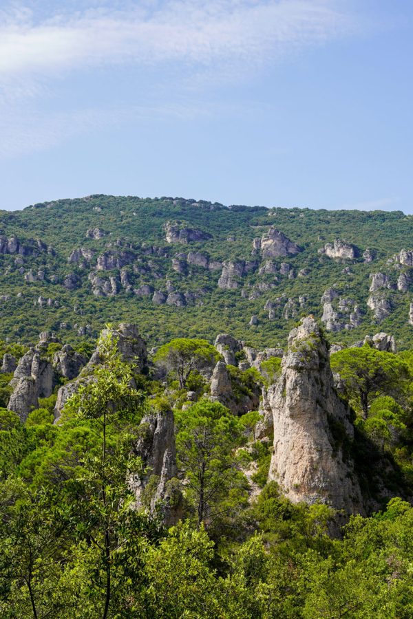 dolomites-of-moureze-landscape-herault-with-rock-peaks-in-forest-french